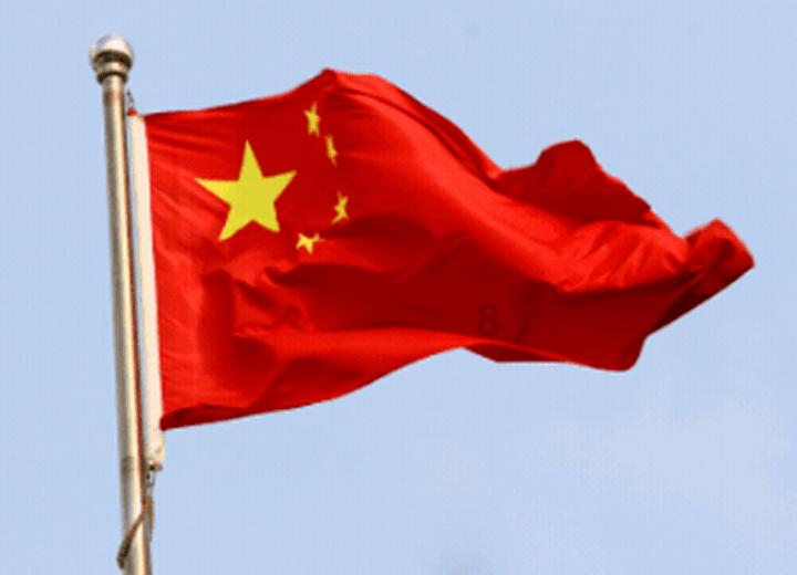 动物帮帮忙保卫家园